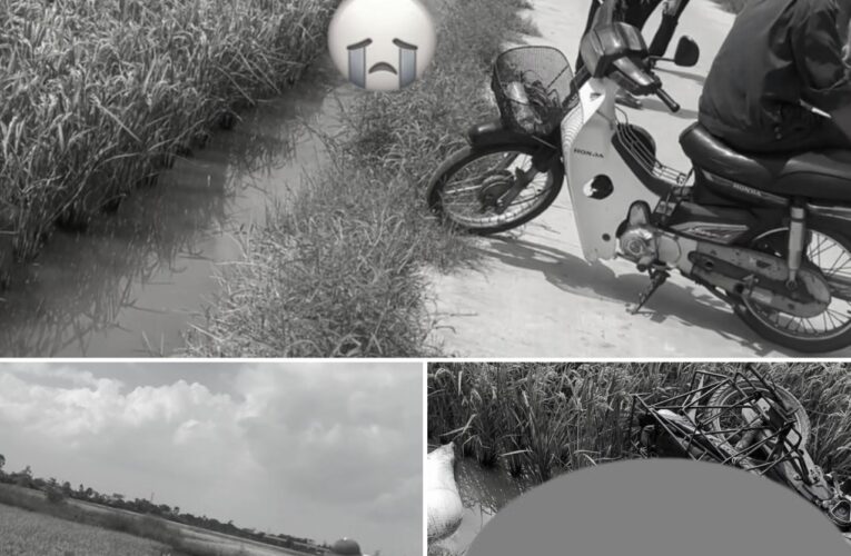 Thái Bình: Hiện trường người phụ nữ chở thóc đi phơi không may ngã xe không qua khỏi dưới ruộng